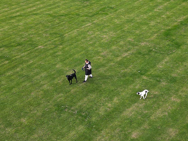image/astrid_og_hunde-0239.jpg