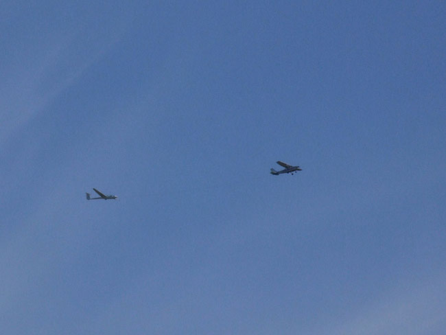 image/fly_og_svaevefly-01.jpg