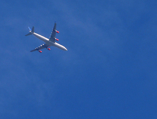 image/rutefly-77.jpg