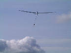 image/_svaevefly-21.jpg
