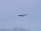 image/_svaevefly-25.jpg