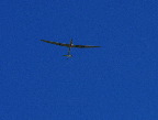 image/_svaevefly-26.jpg