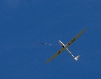 image/_svaevefly-29.jpg