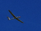 image/_svaevefly-37.jpg