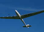 image/_svaevefly-39.jpg