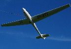 image/_svaevefly-40.jpg