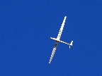 image/_svaevefly-80.jpg
