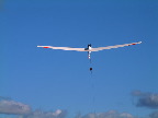 image/_svaevefly-81.jpg