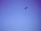 image/_ultralet_fly-13.jpg