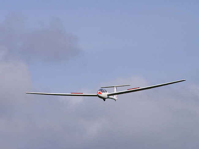 image/svaevefly-16.jpg