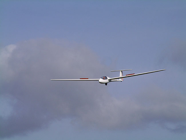 image/svaevefly-19.jpg