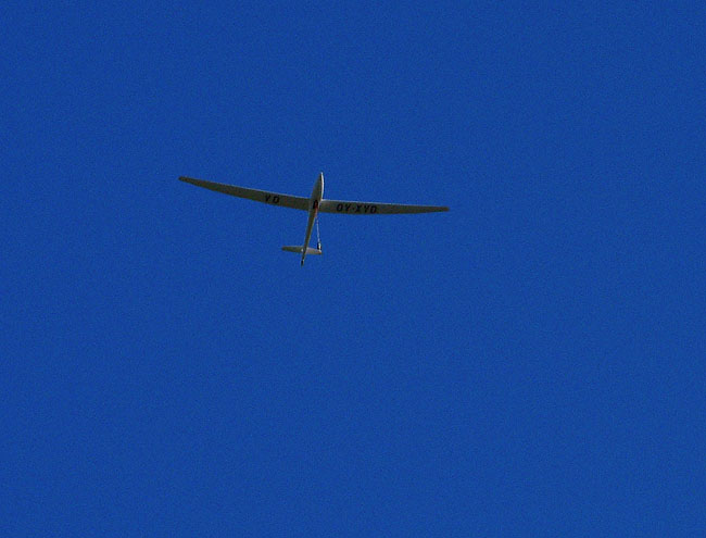 image/svaevefly-26.jpg