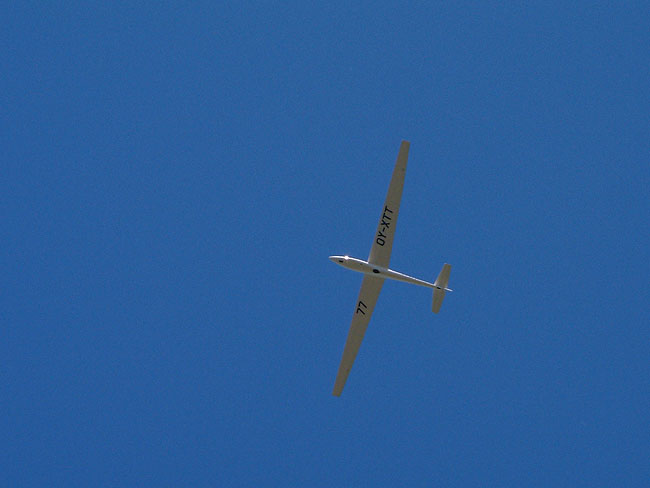 image/svaevefly-27.jpg