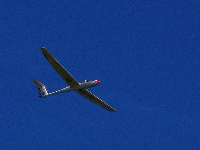 image/svaevefly-37.jpg