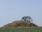 image/_gravhoej-095.jpg