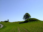 image/_gravhoeje-421.jpg