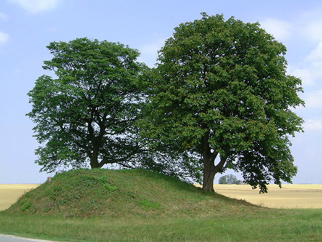 image/gravhoej-022.jpg