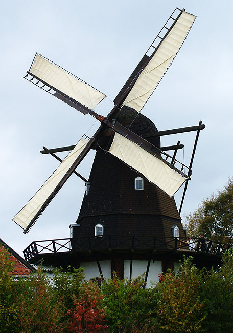 image/skenkelsoe_moelle-068.jpg