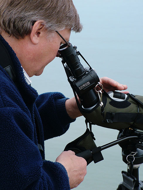 image/digiscoping-79.jpg