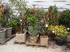image/_plantehotel-98.jpg