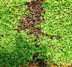 image/_boegehaek-19.jpg