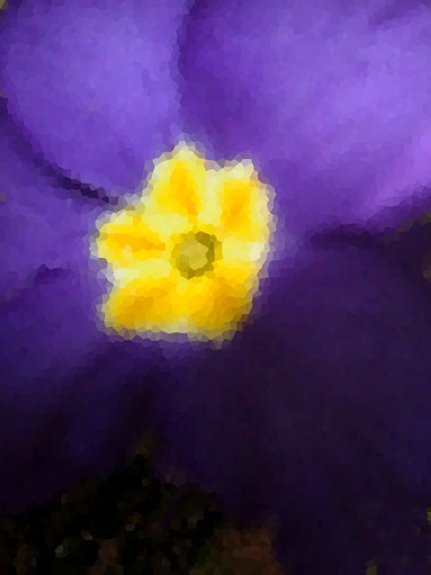 image/blomst-24.jpg