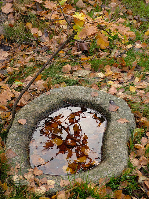 image/efteraar_i_haven-02.jpg