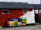 image/_fiskekasser-800.jpg