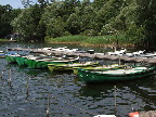 image/_fiskeringen-45.jpg