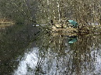 image/_karpefisker-18.jpg