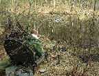 image/_karpefisker-40.jpg