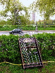 image/_streetfishing_2015-7951.jpg