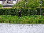 image/_streetfishing_2015-8013.jpg