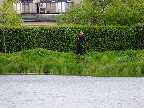 image/_streetfishing_2015-8014.jpg