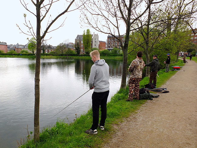 image/streetfishing_2015-7868.jpg