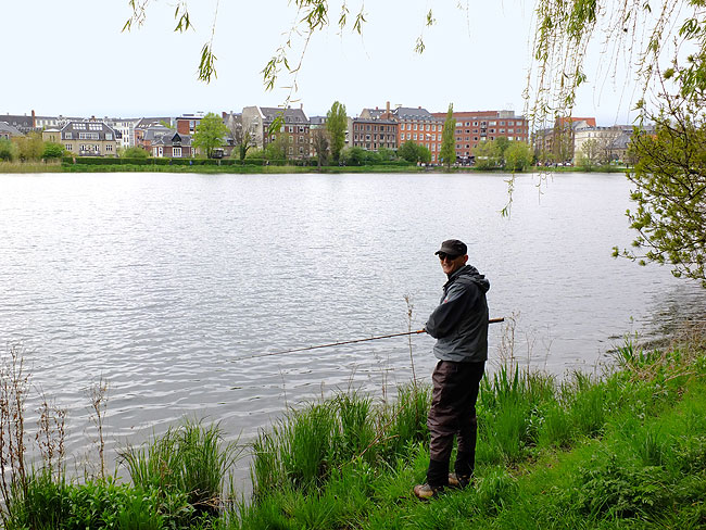 image/streetfishing_2015-7882.jpg