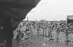 image/_roskilde_festival-5316.jpg