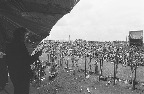 image/_roskilde_festival-5317.jpg