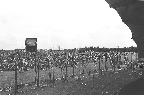 image/_roskilde_festival-5325.jpg