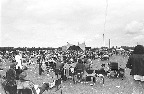 image/_roskilde_festival-5347.jpg