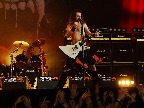 image/_roskilde_festival-8870.jpg