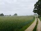 image/_rugen_draer-676.jpg