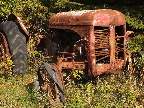 image/_gammel_traktor-497.jpg