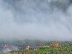 image/_markafbraending-24.jpg