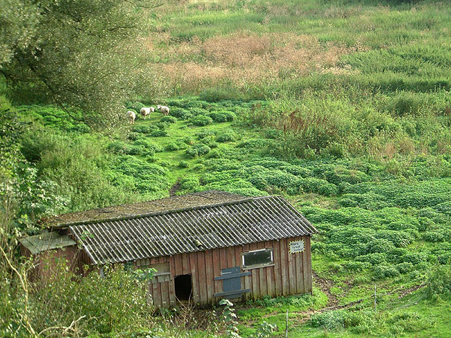 image/landskab_faarefold-64.jpg