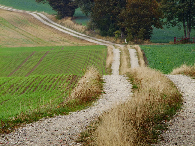 image/markvej-528.jpg