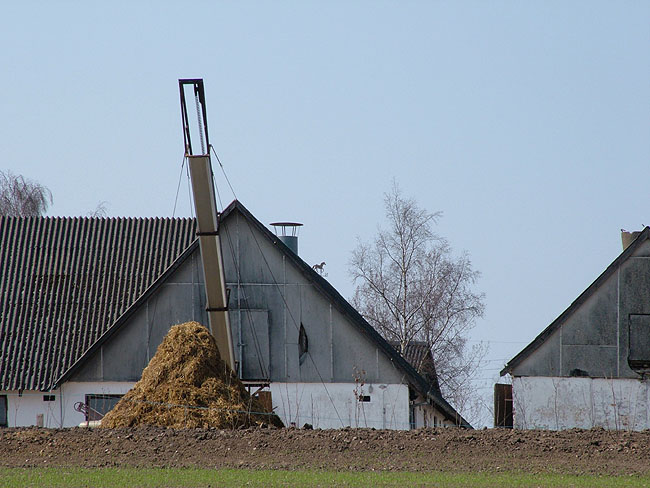 image/moedding-75.jpg