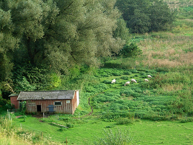 image/faarefold-60.jpg