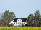image/_gaard-043.jpg