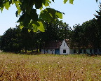 image/_gaard_landskab-13.jpg